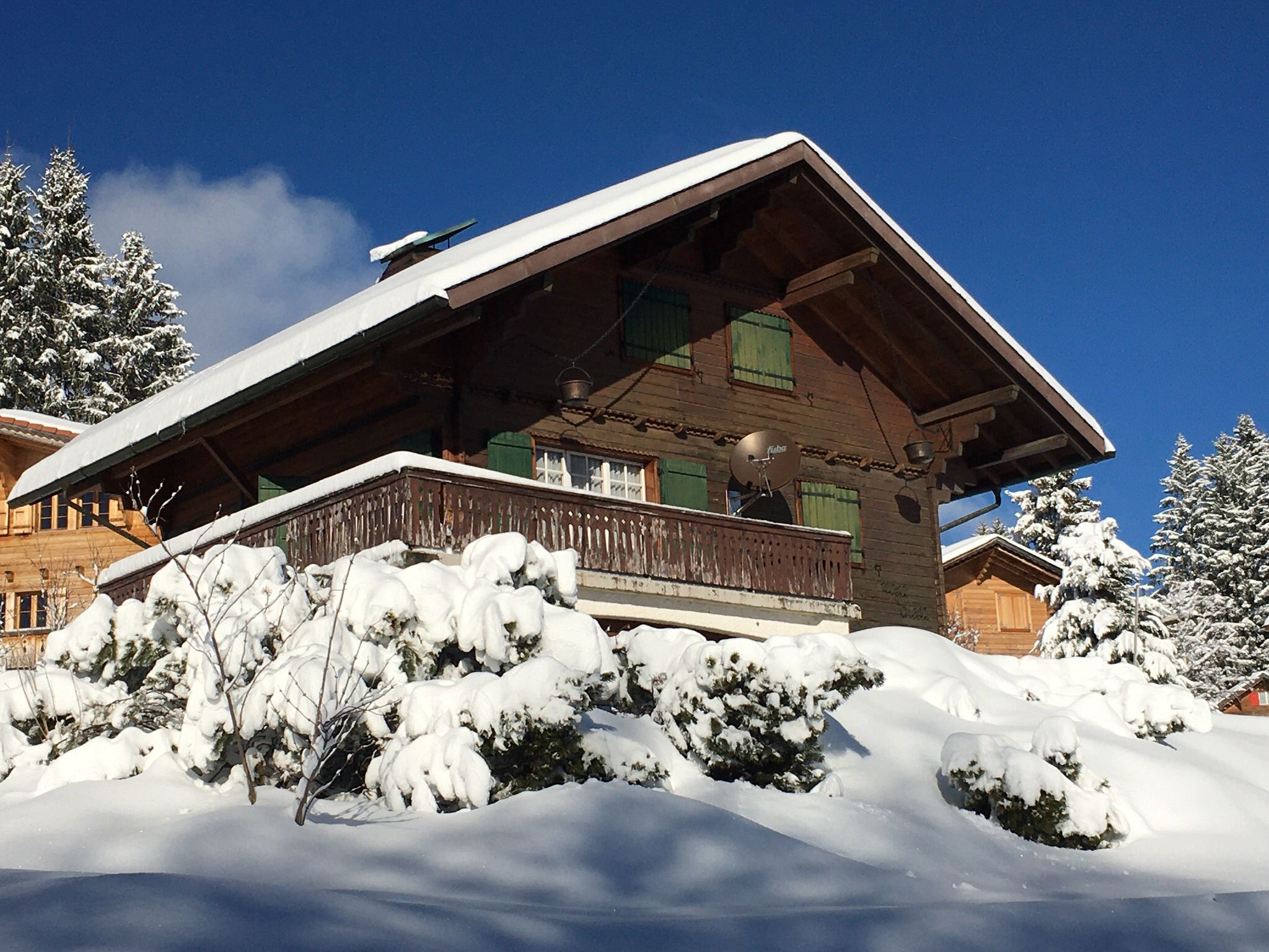 chalet_riccard-Nosa_Chesa-00002_bf69381
