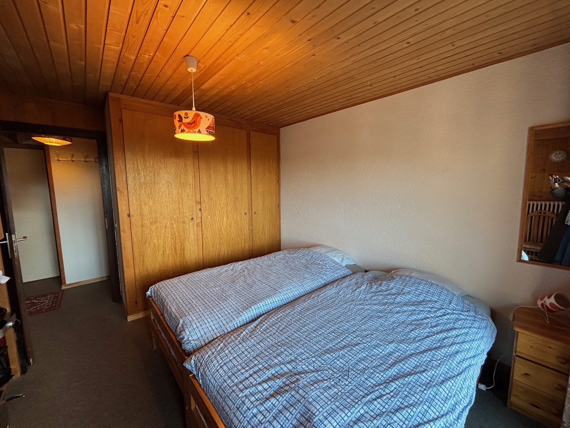 dhs_LES_ANEMONES–B25-4.55