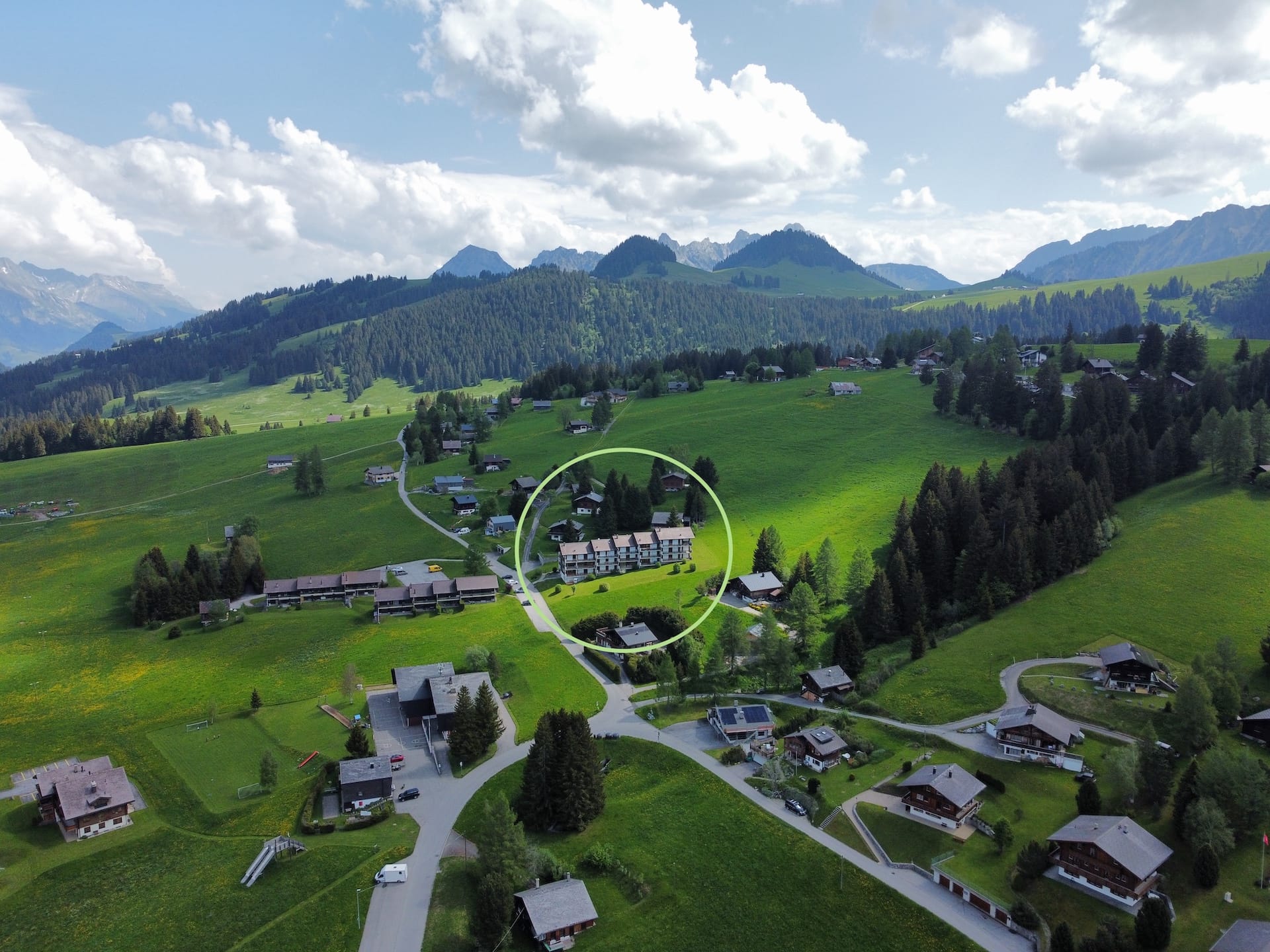 LES ANÉMONES – B25